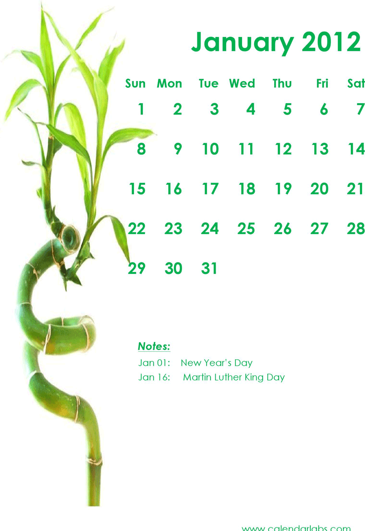 2012 Monthly Green Bamboo Calendar Template