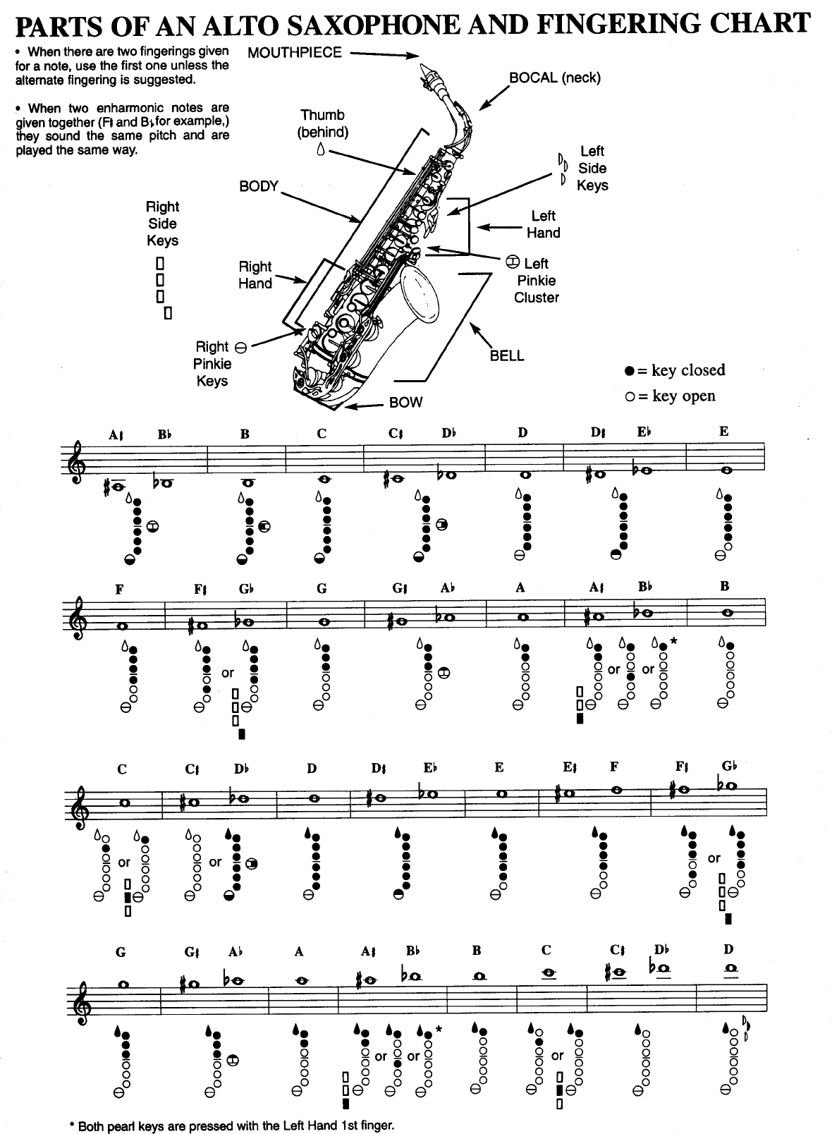 Parts of An Alto Saxophone And Fingering Chart