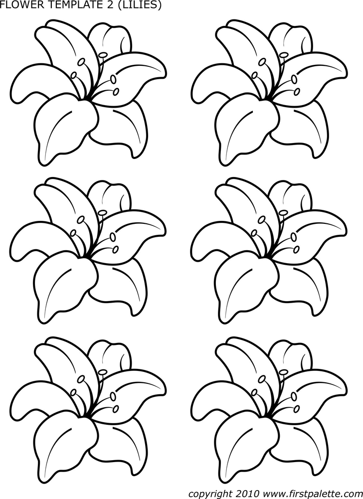 Flower Template of Lilies