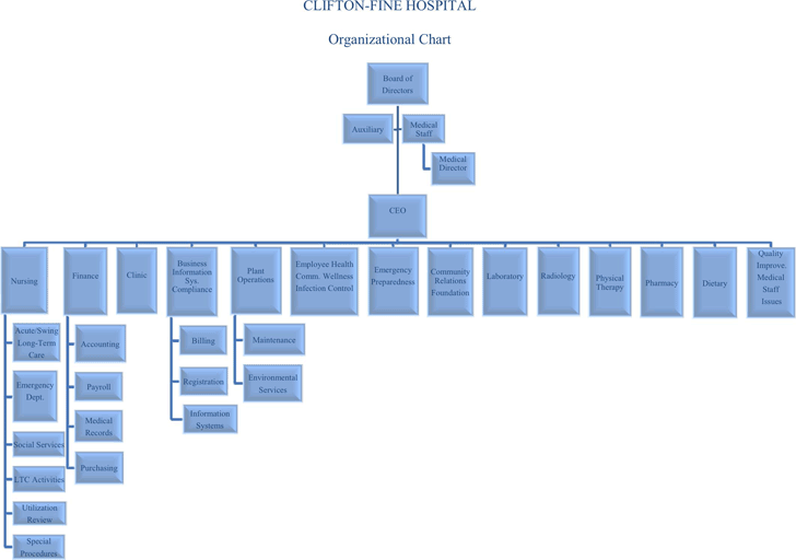 Hospital Organizational Chart 1