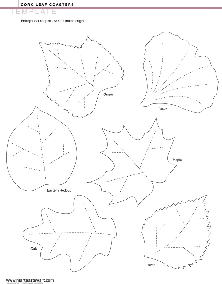 Leaf Template 1