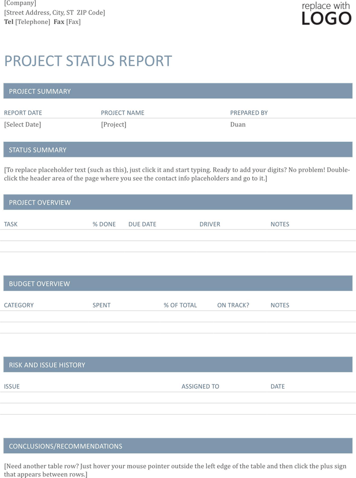 Project Status Report Template 1