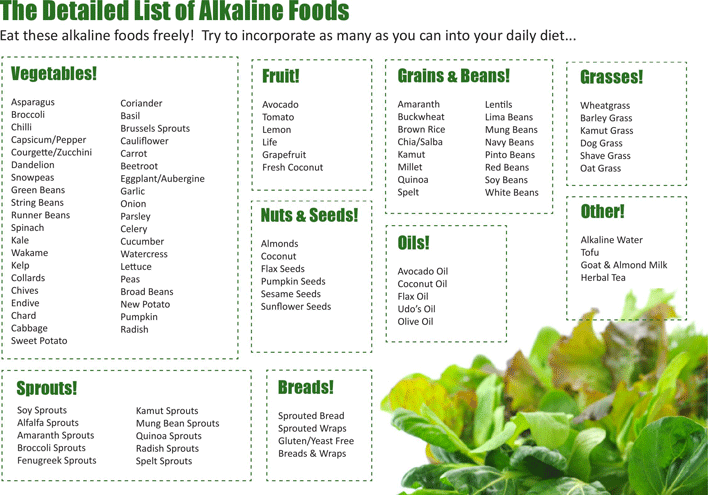 Acid Alkaline Food Chart 2 Page 5