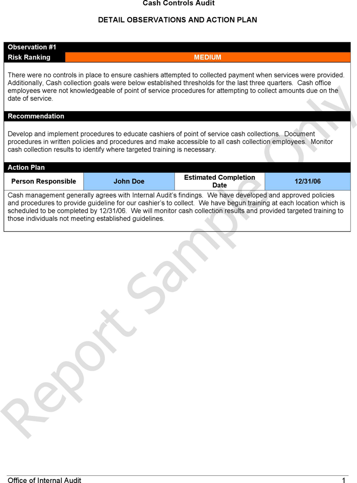 Audit Report Template Page 3