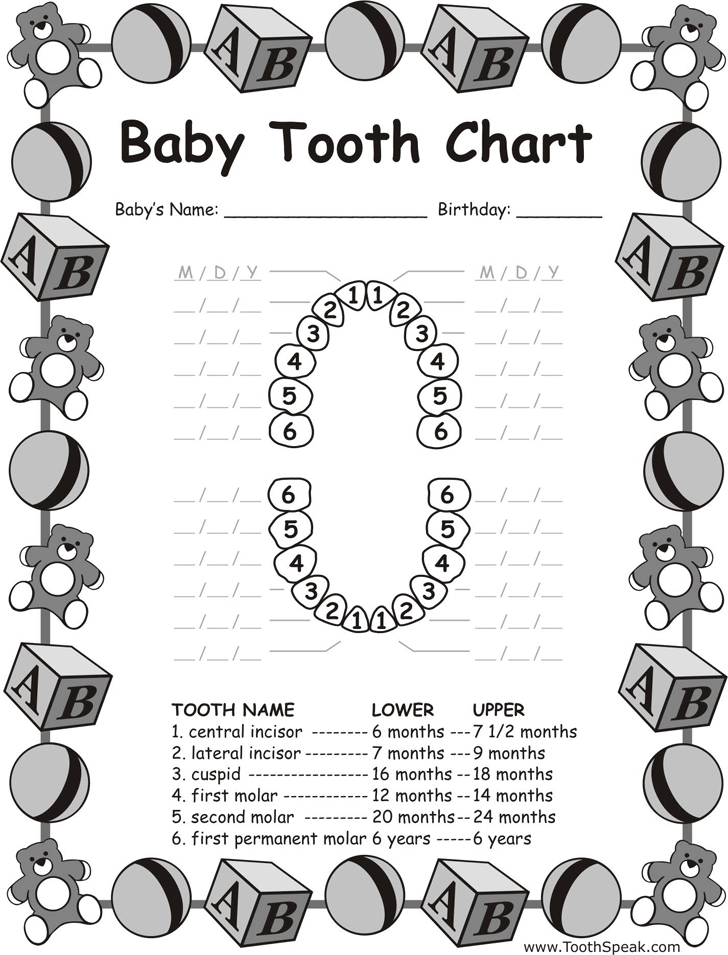Baby Teeth Chart 2