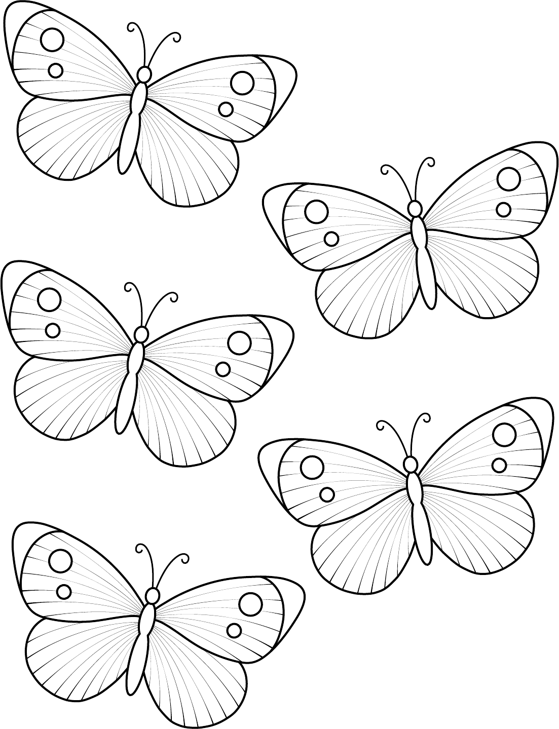 Butterfly Template 3