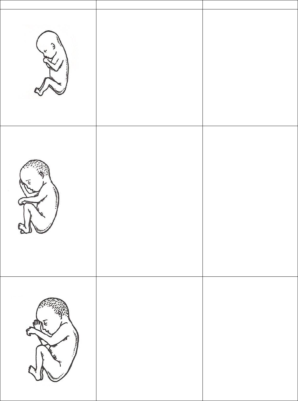 Prenatal Chart