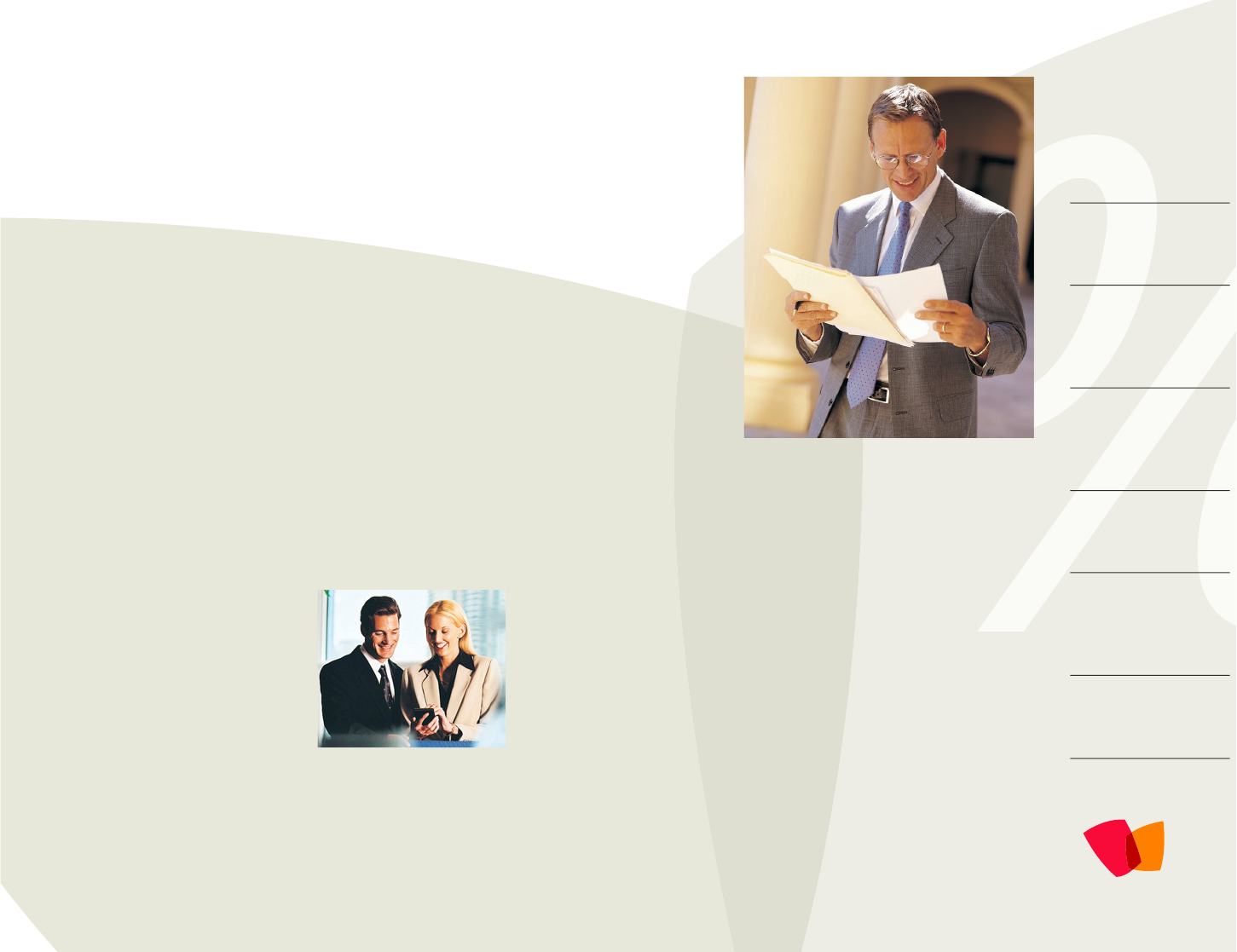 Professional Services Marketing Brochure (Tri-Fold)