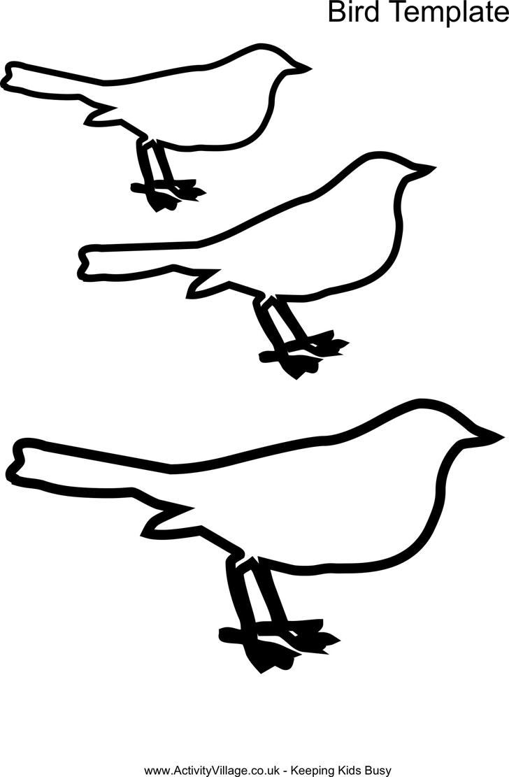 Bird Template 2