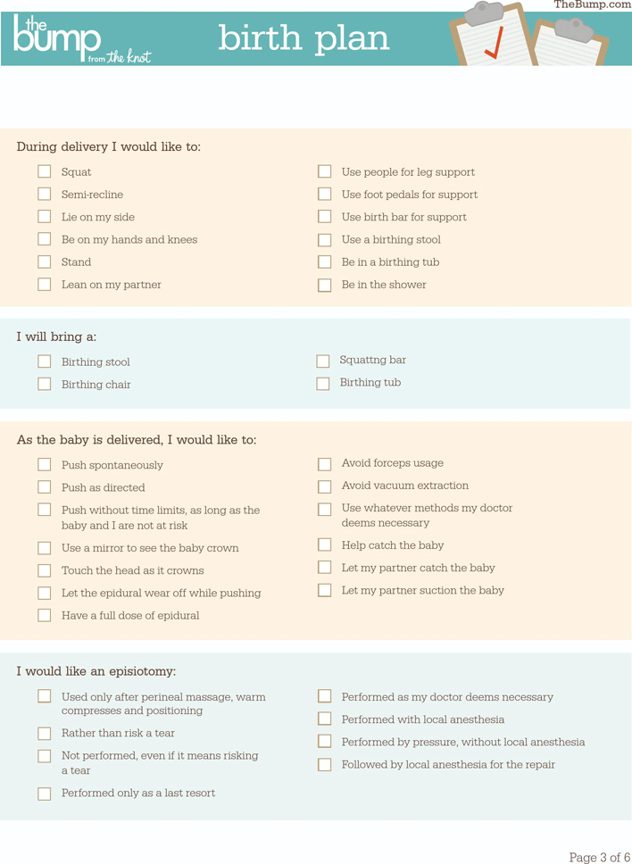 Birth Plan Template Page 3
