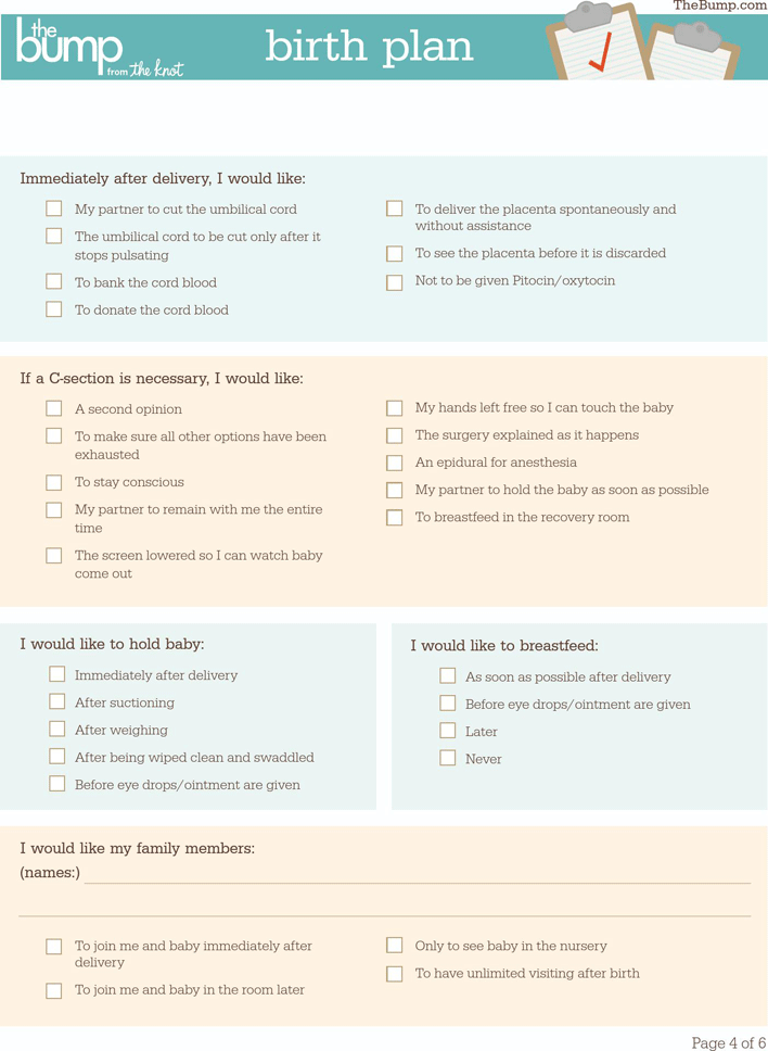 Birth Plan Template Page 4