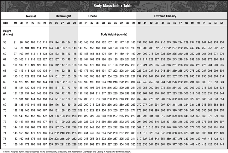 Body Mass Index Chart Stock Illustrations – 502 Body Mass Index