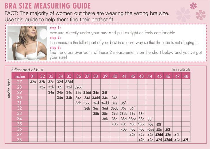 Bra Size Chart - Template Free Download
