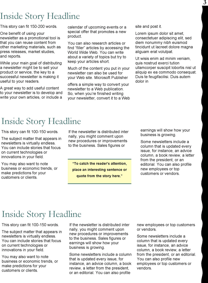 Business Newsletter Template 1 Page 3