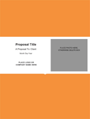 Generic Business Proposal Template