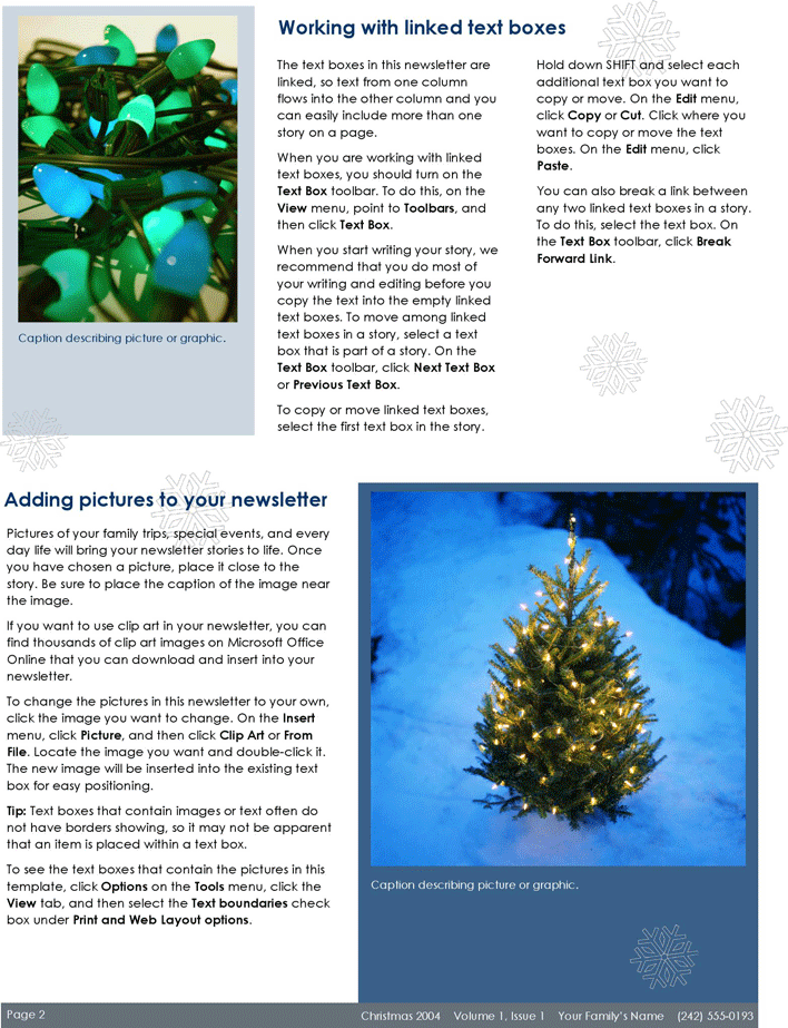 Family Christmas Newsletter Page 2