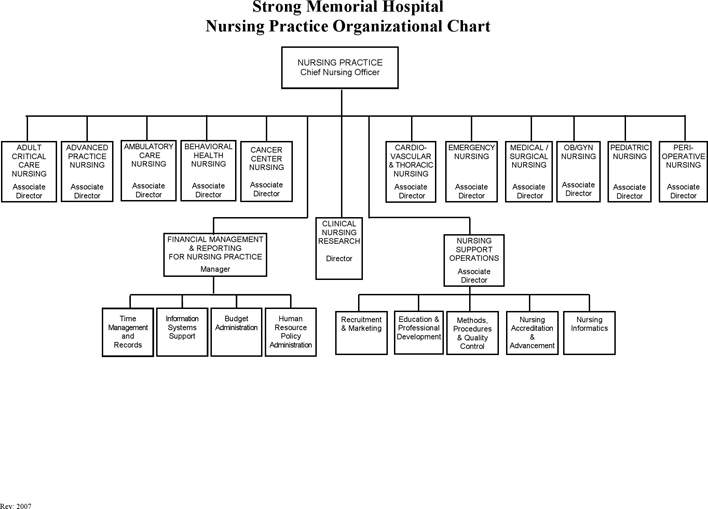 Hospital Organizational Chart 3 Page 2