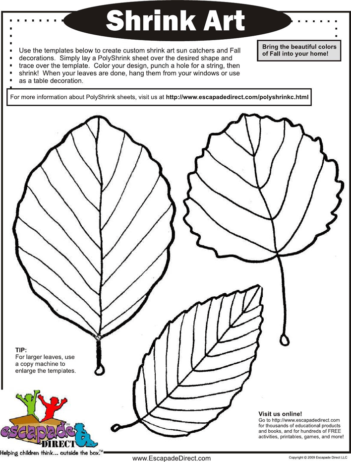Leaf Template 2 Page 2