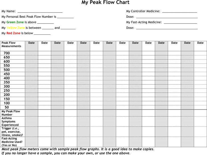 free-7-sample-peak-flow-chart-templates-in-pdf-ms-word