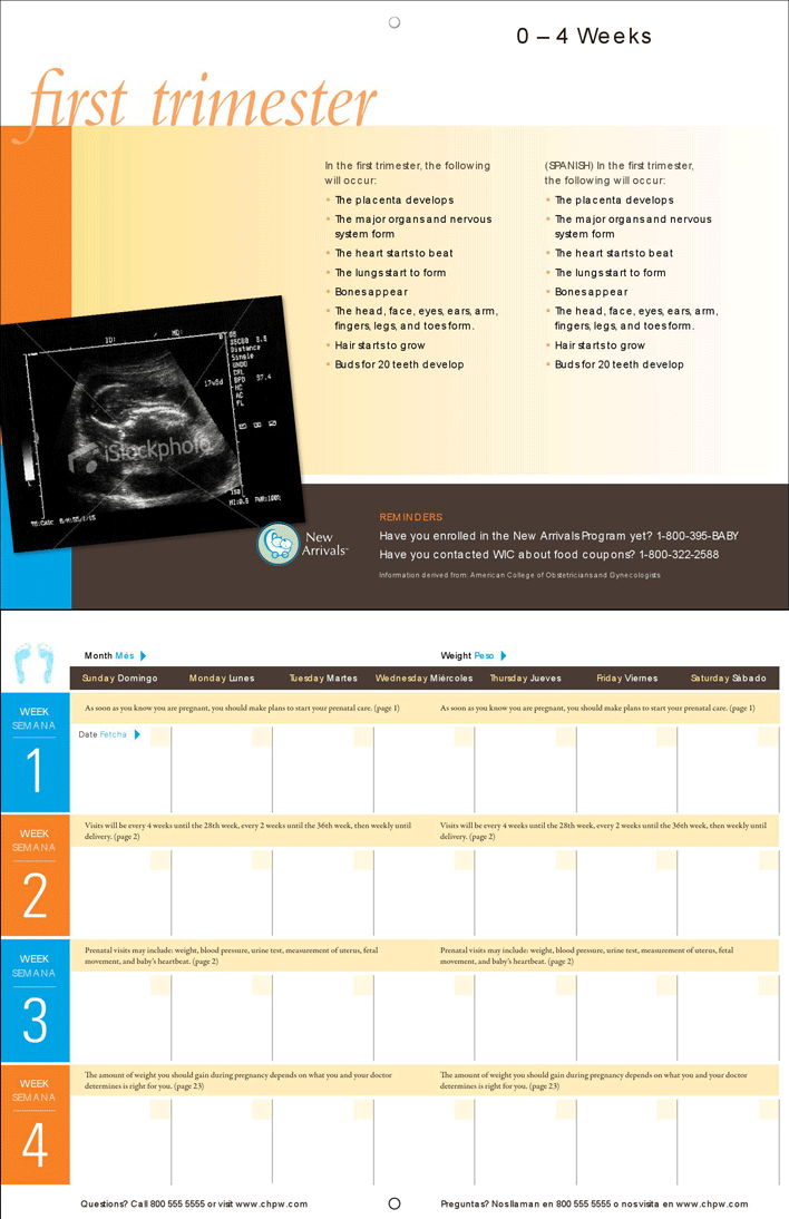 Pregnancy Calendar 2 Page 3