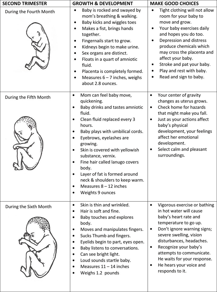 Prenatal Chart Page 2