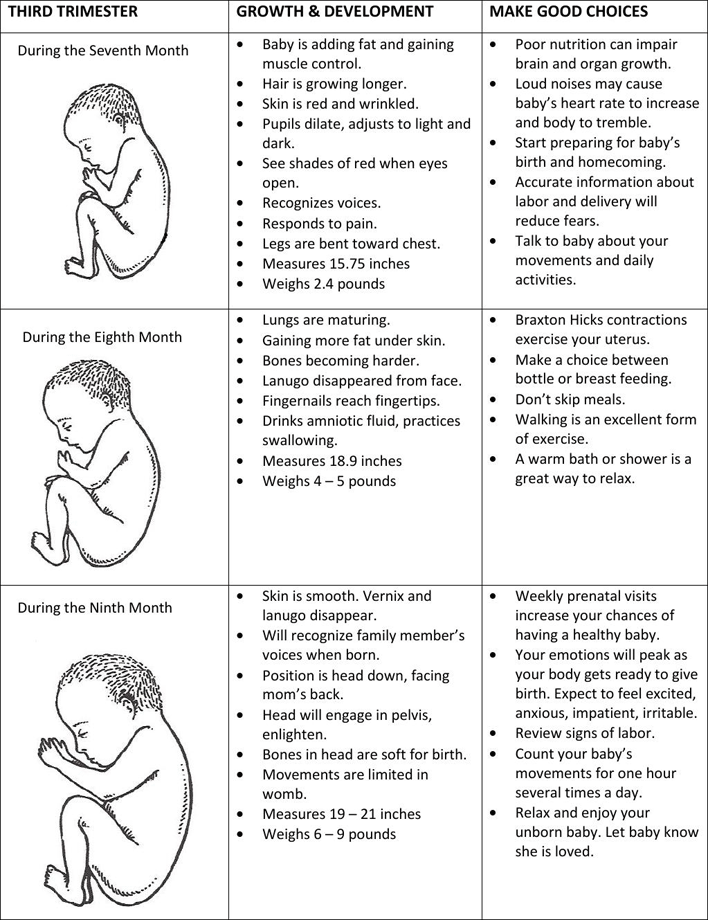 Prenatal Chart Page 3