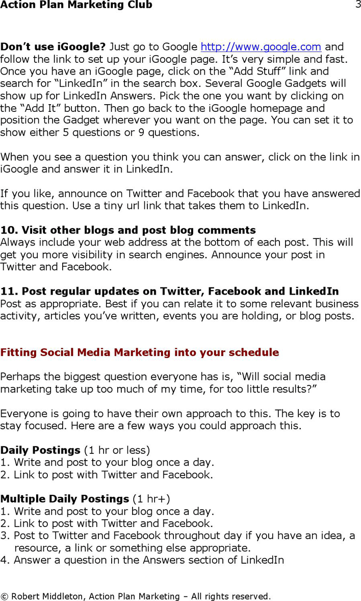 Social Media Marketing Plan Template 1 Page 3